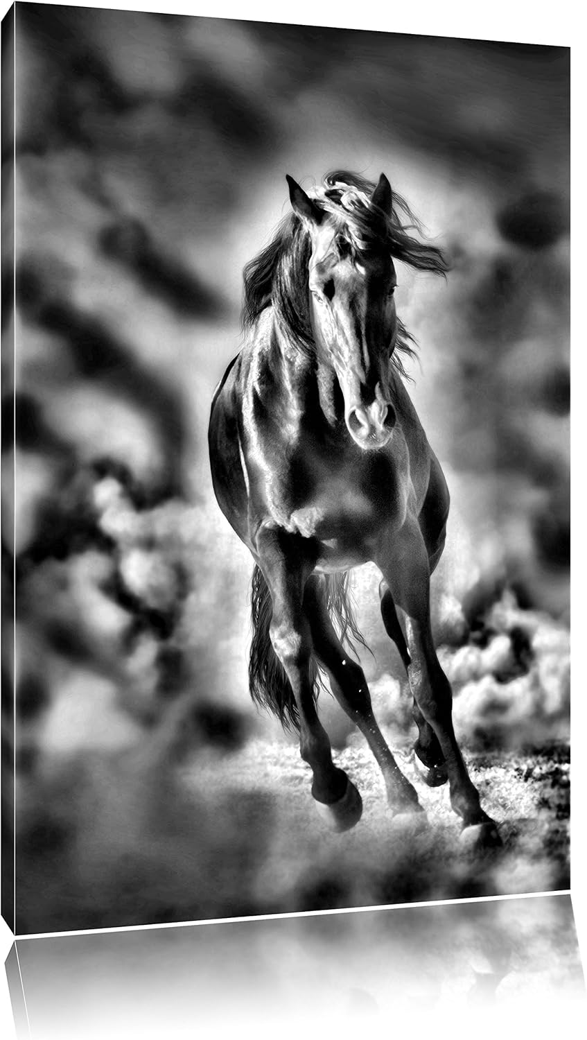 Pixxprint Elegantes schwarzes Pferd als Leinwandbild | Grösse: 100x70 cm | Wandbild | Kunstdruck | f