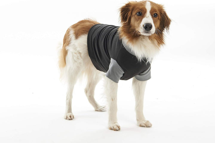 Buster Classic Body für Hunde, Grösse S, Schwarz/Grau