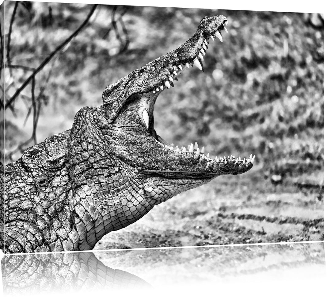 Pixxprint gewaltiges Krokodil als Leinwandbild/Grösse: 100x70 / Wandbild/Kunstdruck/fertig bespannt,