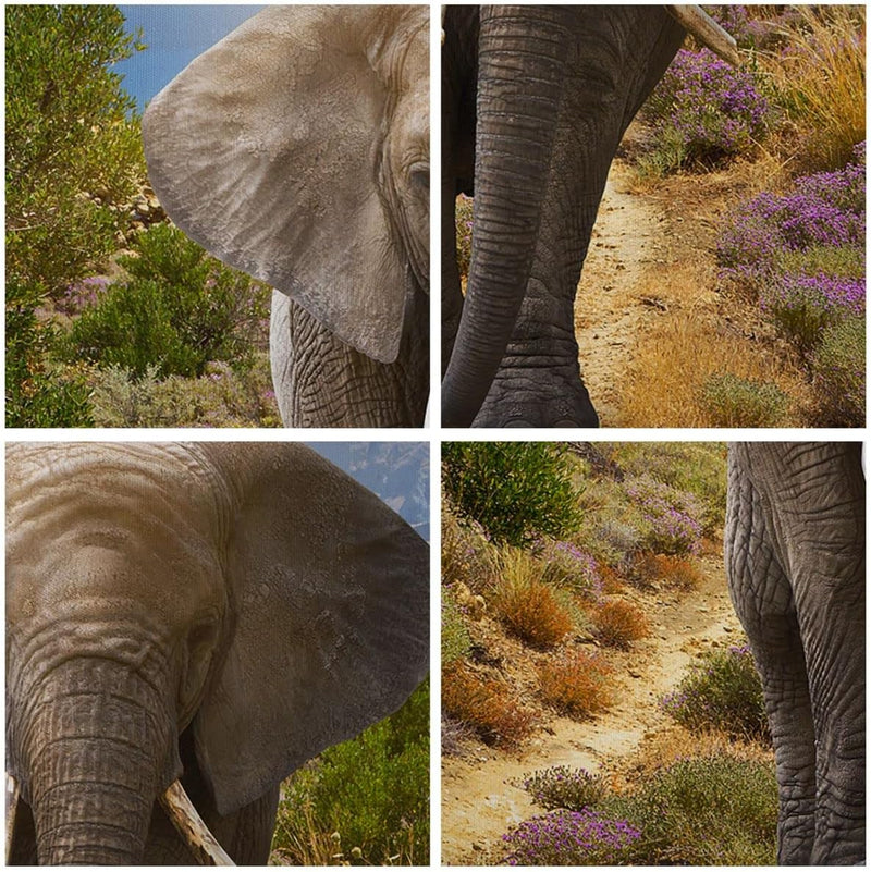 Bilder auf Leinwand 100x70cm Leinwandbild Tiere Afrika Elefanten Spaziergang Gross Wanddeko Bild Sch