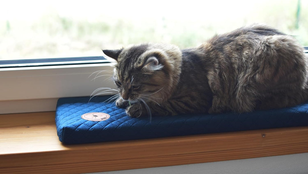 Prime Katzen Fensterliege Für Katzen, Fensterbank mit Einer Rutschfesten Rückseite, Katzenbett Fenst