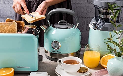 Retro Electric Kettle with Temperature Gauge by Vintage Cuisine (Mint)