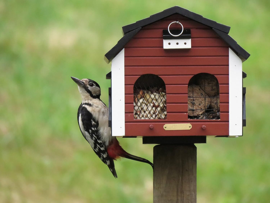 Wildlife Garden WG221 Futterscheune Rot - Vogelfutterhaus aus Holz