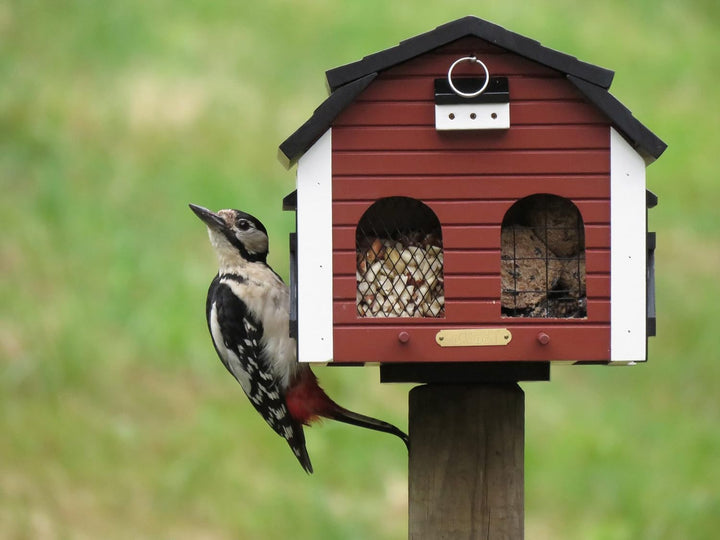 Wildlife Garden WG221 Futterscheune Rot - Vogelfutterhaus aus Holz
