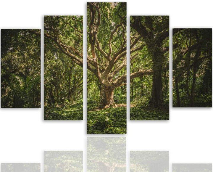 Feeby Wanddeko XXL Landschaft Leinwandbild 5 Teilig Baum Wald Natur braun 100x70 cm Leinwandbild 100