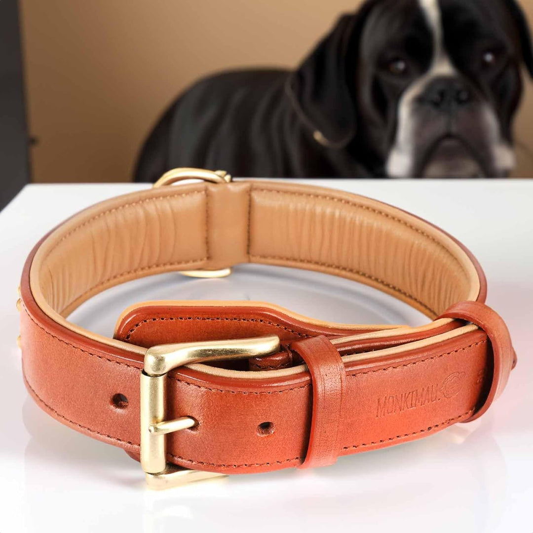 Monkimau Halsband für Hunde aus echt Leder mit Nieten gepolstert verstellbar L 41-50 cm M-L: 35mm x