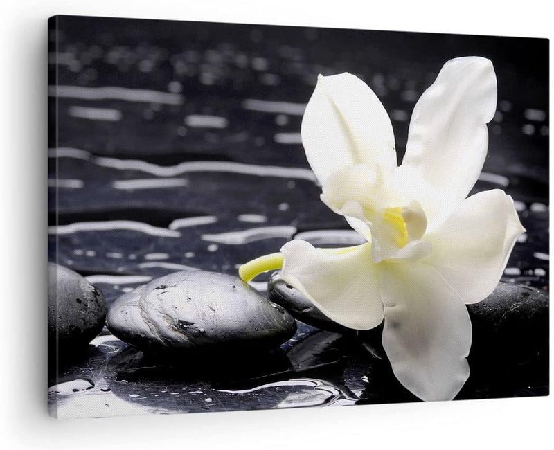 Bilder auf Leinwand Spa Orchidee Steine Wasser Leinwandbild 70x50cm Wandbilder Dekoration Wohnzimmer