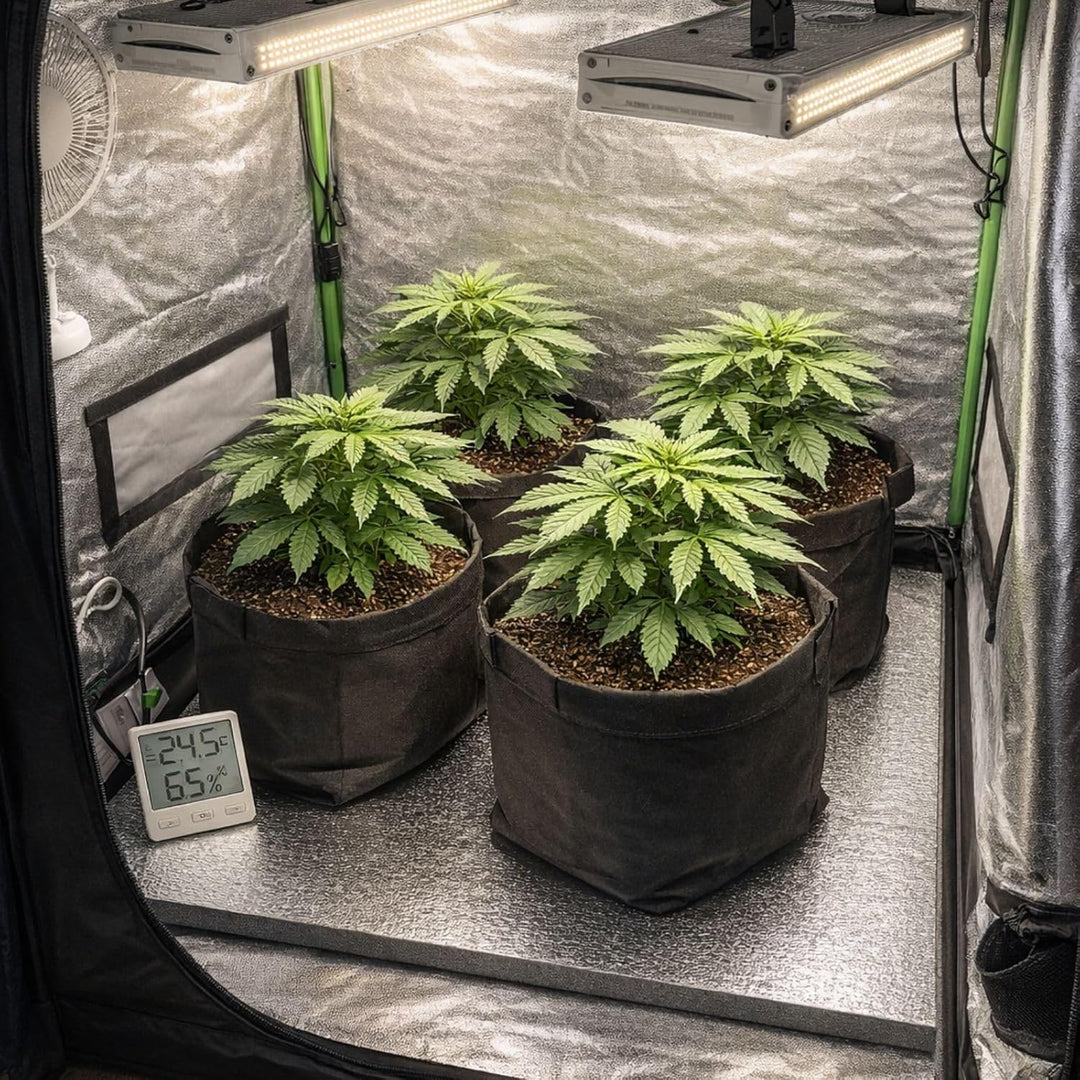 Weedness Grow Isoliermatte 120 x 120 cm für Growboxen &amp; Pflanzen - Indoor Anbau Grow Heizstrahler Sc