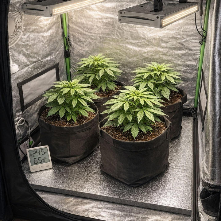 Weedness Grow Isoliermatte 120 x 120 cm für Growboxen &amp; Pflanzen - Indoor Anbau Grow Heizstrahler Sc