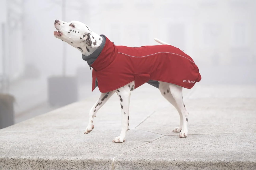 Wolters Hundejacke Cape Adventure | Gefütterte Winterjacke für Hunde | Farbe Rot | Grösse 38 (Rücken
