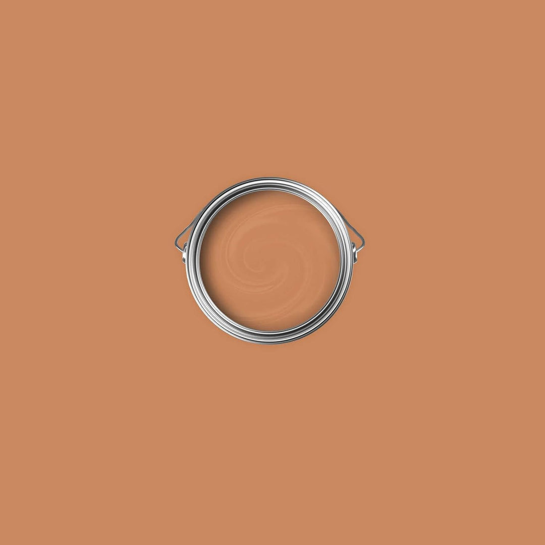 New Walls Premium Wandfarbe Orange, Kupfer Liquid Luxury Dispersionsfarbe für Innenräume – 1 L 1000