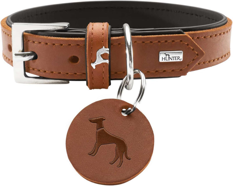 HUNTER LARVIK Hundehalsband, Leder, schlicht, elegant, komfortabel, 55 (M), cognac/schwarz cognac/sc