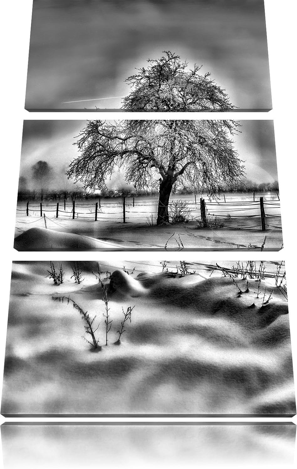 Pixxprint Baum in Winterlandschaft als Leinwandbild/Grösse: 3 Teilig (120x80) cm/Wandbild/Kunstdruck