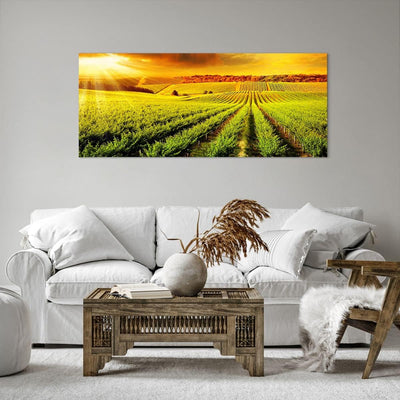 Wandbilder Dekoration Wohnzimmer Land Weingut Pflanzung Panorama Bilder auf Leinwand 120x50cm Leinwa