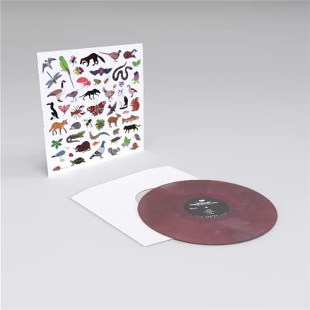 Island of Noise, Vinyl