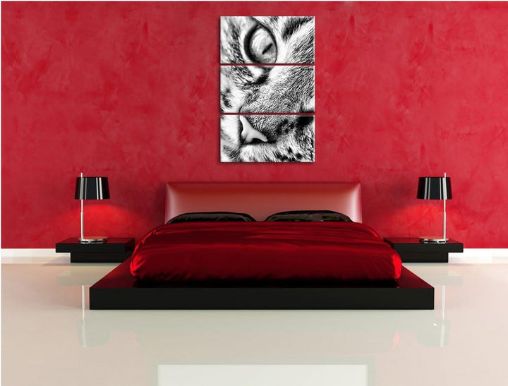 Pixxprint Grosse Katzenaugen / 3-Teilig/Gesamtmass 120cm Leinwandbild bespannt auf Holzrahmen/Wandbi