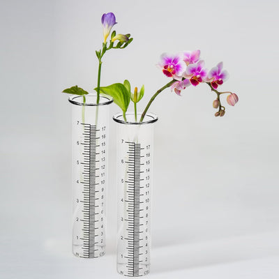 DOITOOL 2 Pcs Regen Gauge Aussen Glas Ersatz Rohr Regen Gauge Zylinder für Hof Garten Hause Im Freie