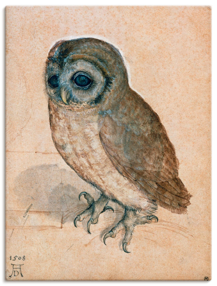 ARTland Leinwandbilder Wandbild Bild auf Leinwand 45x60 cm Wanddeko Tiere Vogel Eule Käuzchen 1508 R