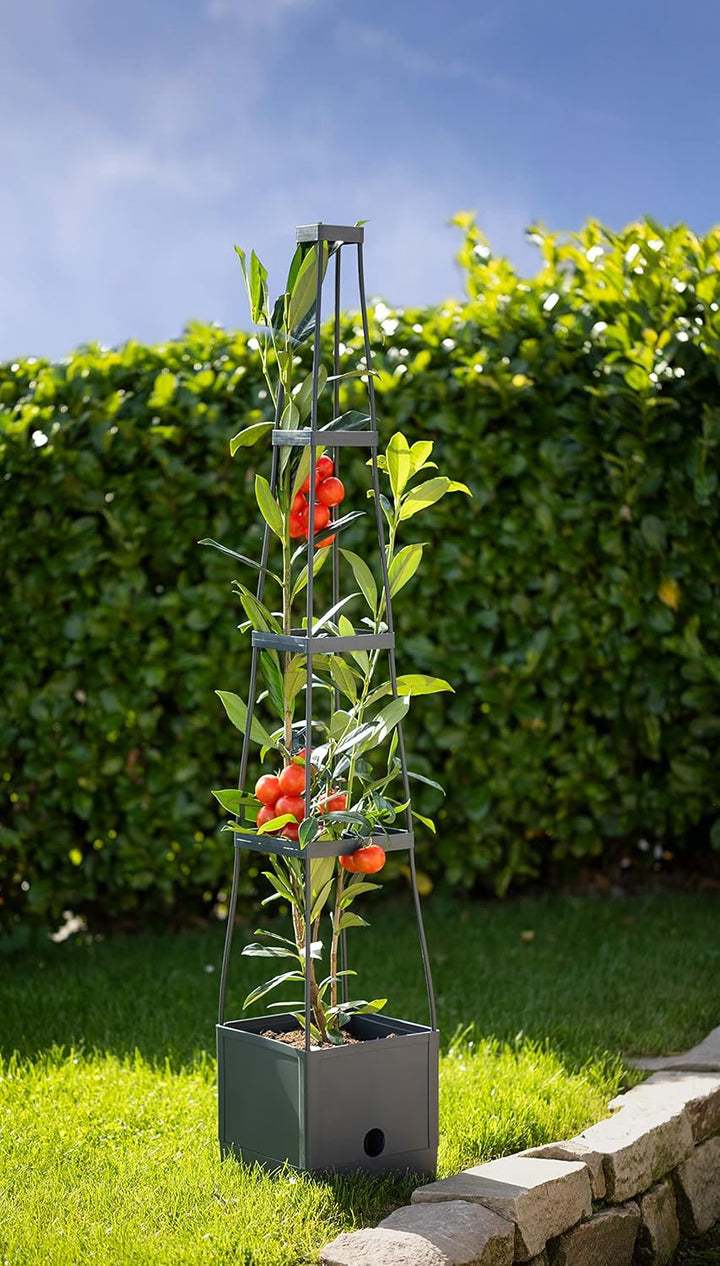 Meister Pflanzturm 150 x 25 x 25 cm - Für Tomaten & Rankgewächse - Mit Rankhilfe - 2,5 L Wassertank