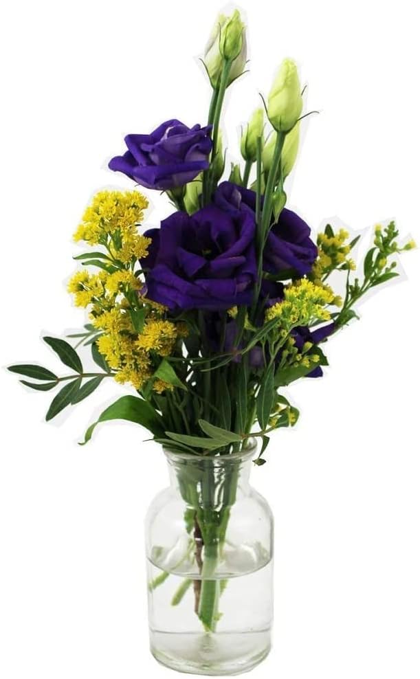 casavetro 10 x kleine Vasen Milk-rund 300 ml kleine Glas-vasen Deko-Flaschen Fläschchen Apotheker(10