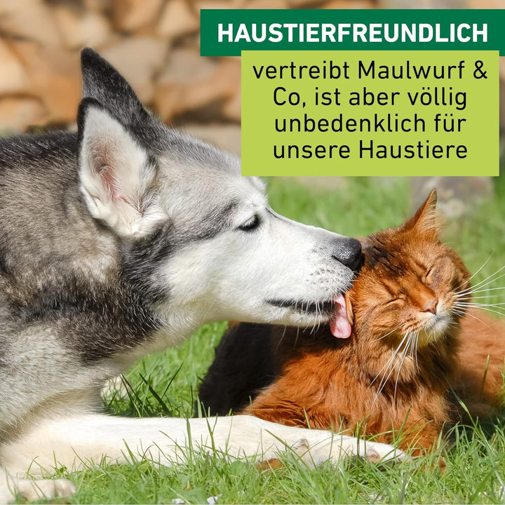 Windhager Wühlmaus- & Maulwurfvertreiber Premium, Wühlmausabwehr, Maulwurfvertreiber, Maulwurfabwehr
