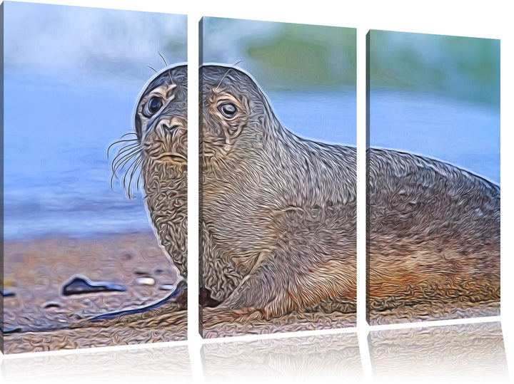 niedliche Robbe am Strand NewArt 3-Teiler Leinwandbild 120x80 Bild auf Leinwand, XXL riesige Bilder