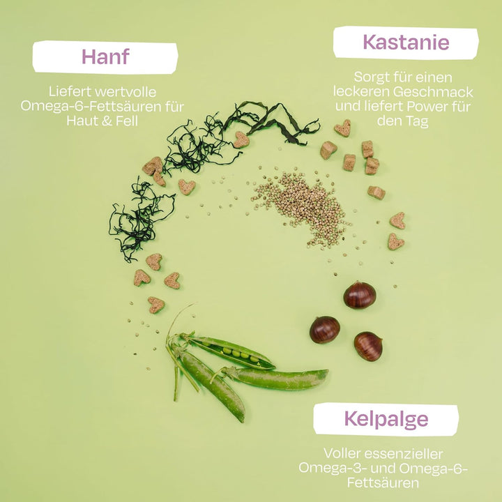 VEGDOG Veggies Skincare Veganer Snack für Hunde, getreiefreier Trainingssnack für Allergiker mit Kas