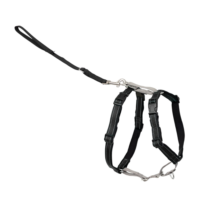 PetSafe 3-in-1-Geschirr, Easy Walk Hundegeschirrs, voll verstellbar, kein Ziehen, Schwarz, Grösse XS