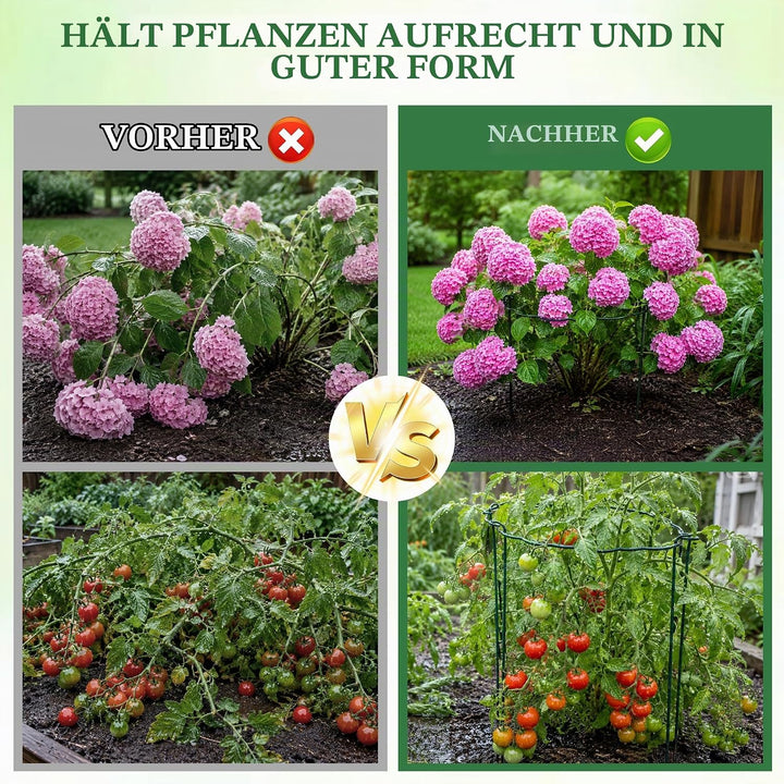 COZCLAM 10 Stück Pflanzenstütze 25 x 60 cm, 4 mm Metall Staudenhalter Halbkreis Wellenform, Pflanzst
