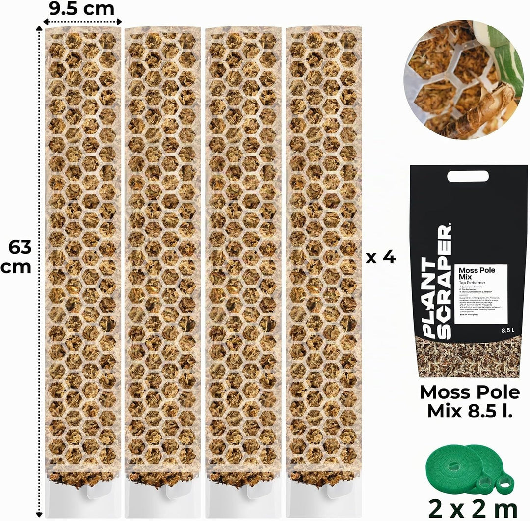 XL Moosstab für Monstera 4 Stück 63 x 9.5 cm - Erweiterbare Rankhilfe &amp; Zubehör-Set - Pflanzstäbe mi