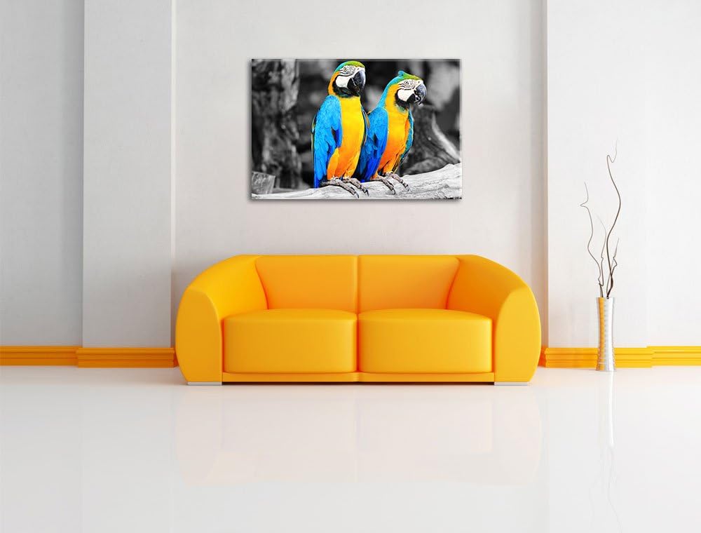 Zwei Papageien als Leinwandbild/Grösse: 100x70 / Wandbild/Kunstdruck/fertig bespannt, 100x70