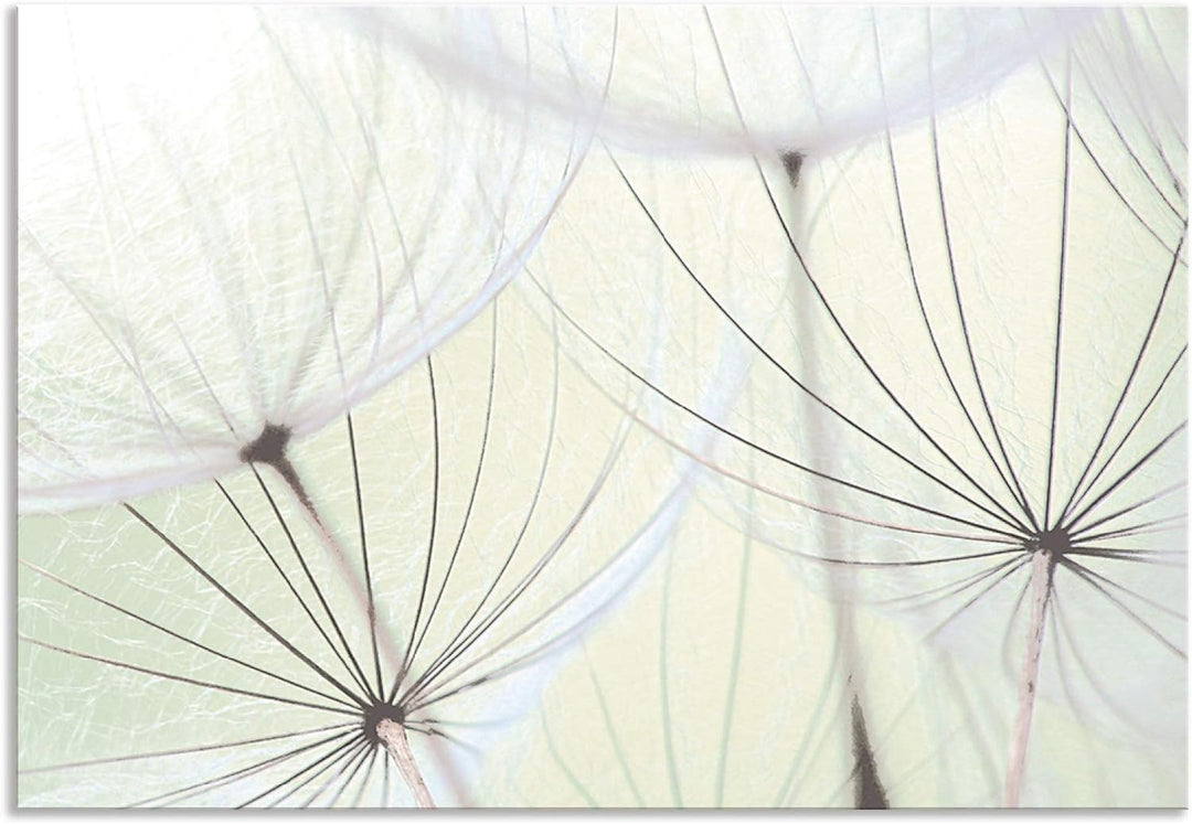 ARTland Spritzschutz Küche aus Alu für Herd Spüle 80x55 cm (BxH) Küchenrückwand mit Motiv Blume Pust