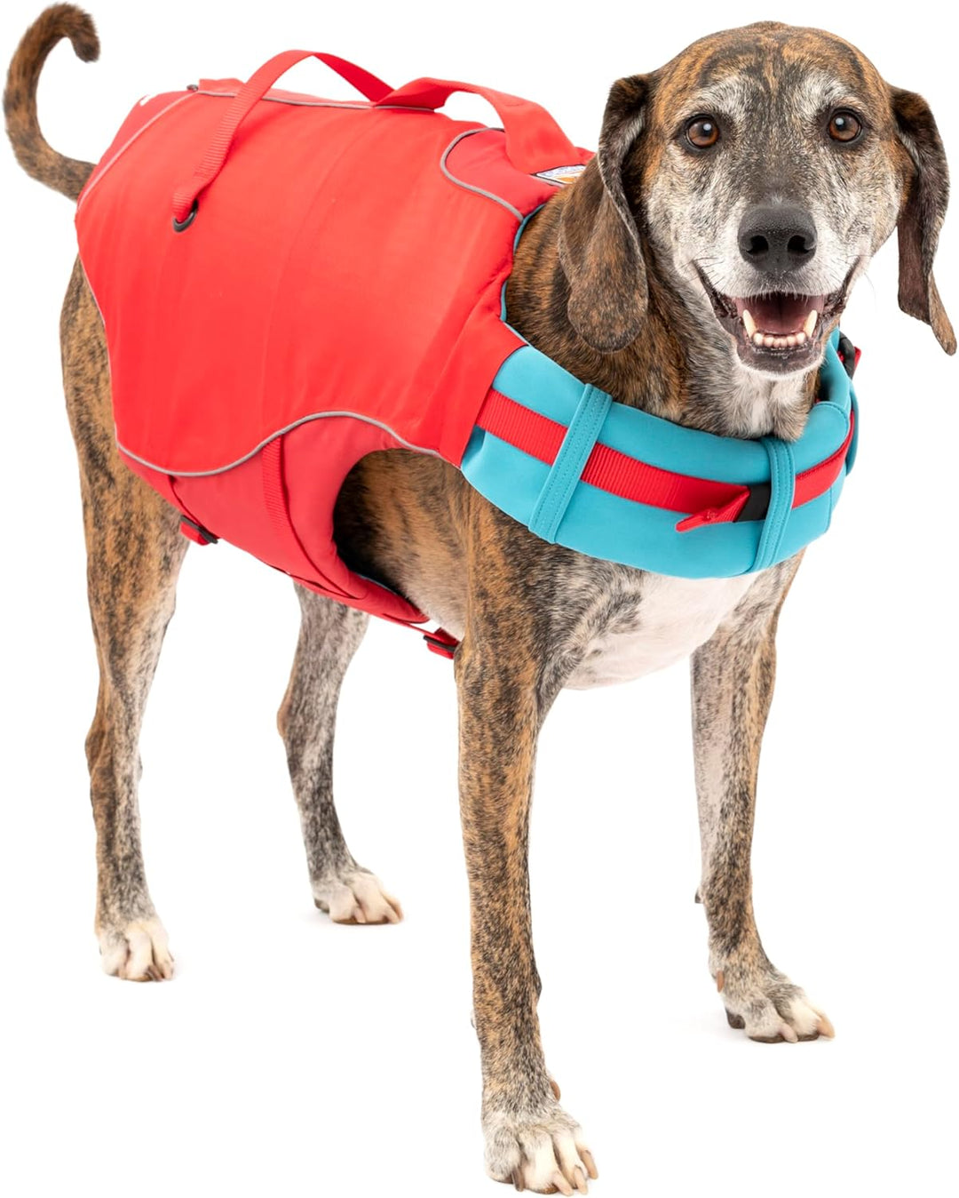 Kurgo Surf N Turf Hundeschwimmweste, Reissfestes Material, Mit Reflektoren und 2 Griffen ausgestatte