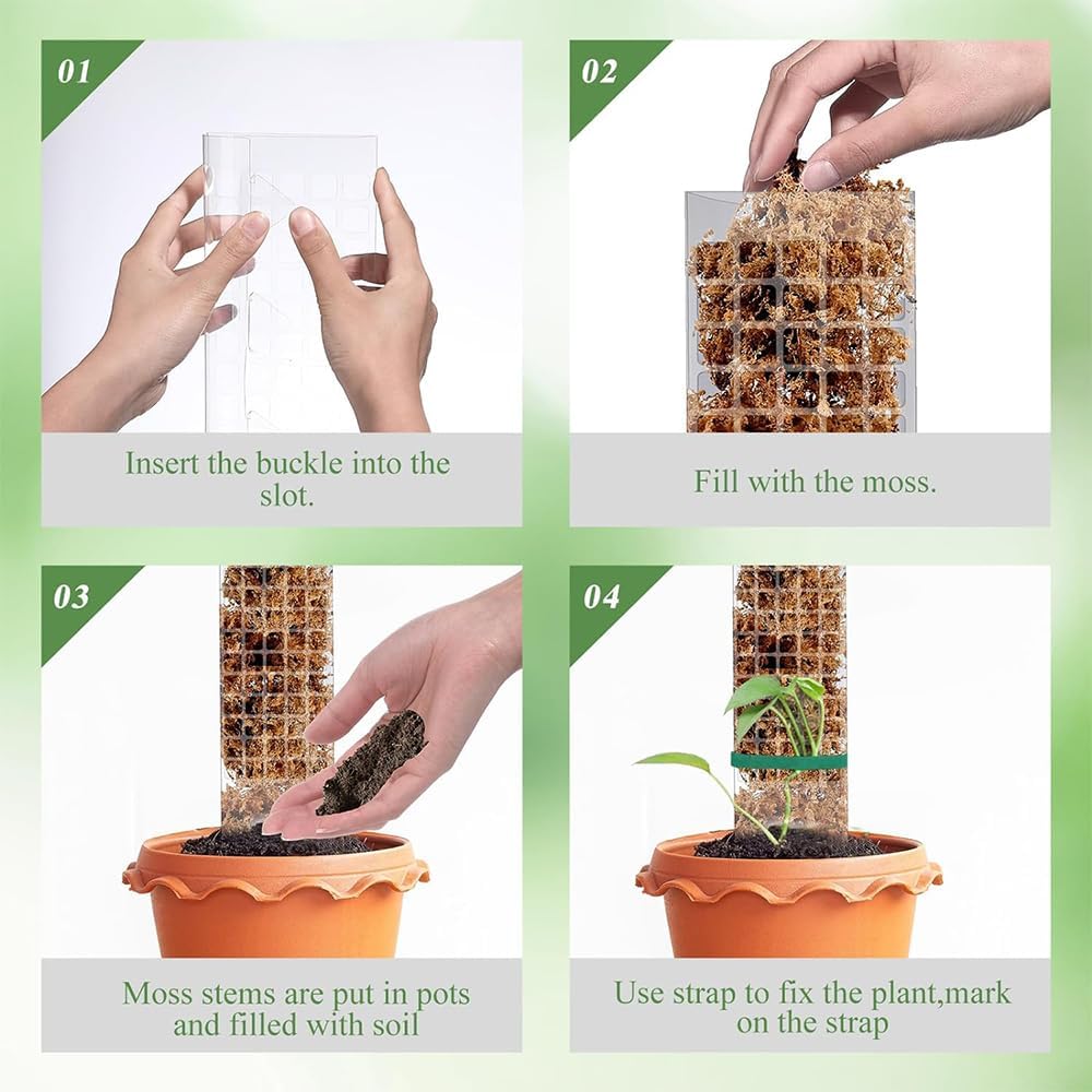 Moosstab Rankhilfe 6 Stück 61cm, Rankhilfe Zimmerpflanzen, Rankhilfe Monstera, Rankstab Monstera, Mi