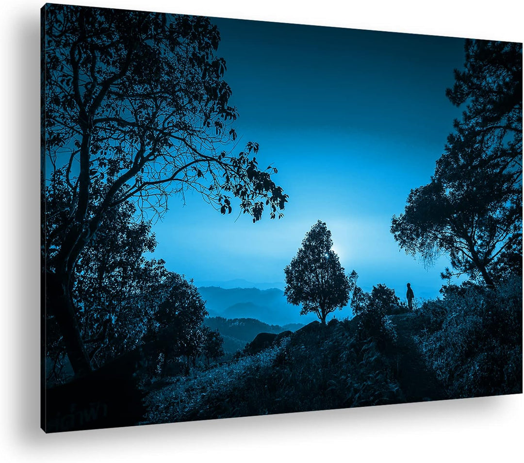 deyoli aussergewöhnliche Hügellandschaft mit Bäumen Format 80x60 Effekt: Monocrome Blau als Leinwand