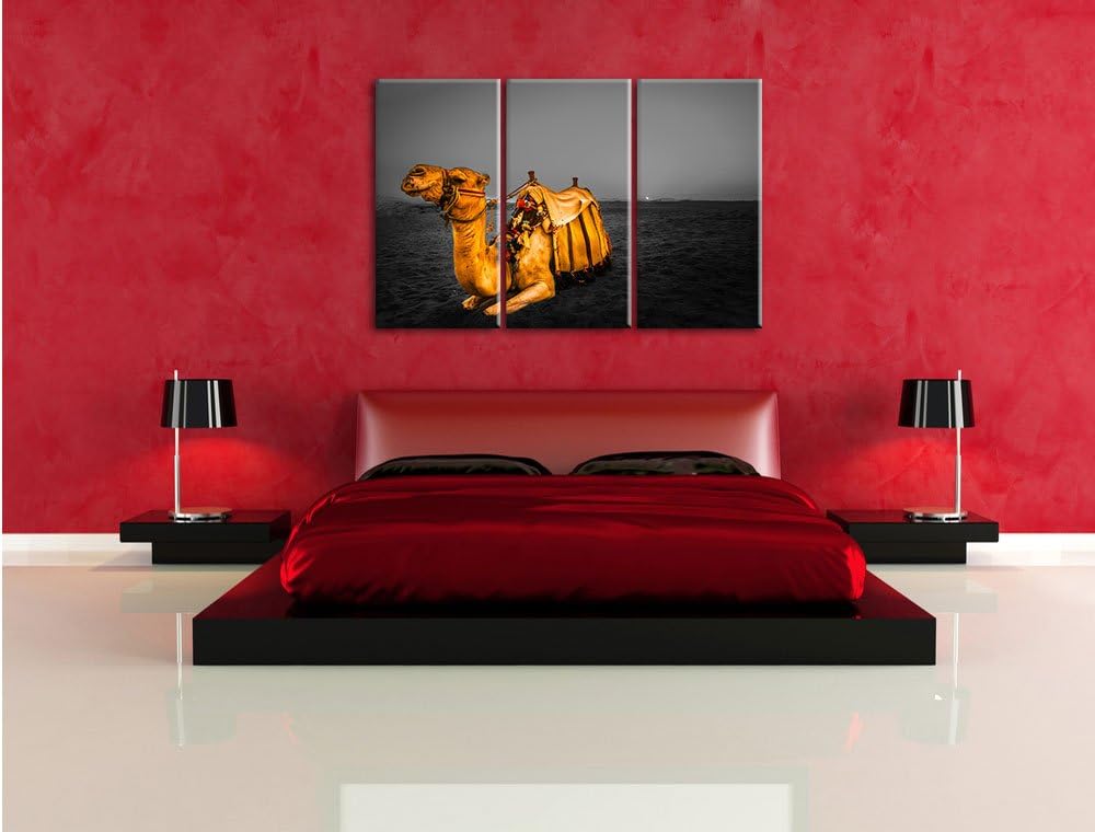 Pixxprint Kamel in Ägypten als Leinwandbild/Grösse: 3 Teilig (120x80 cm) cm/Wandbild/Kunstdruck/fert