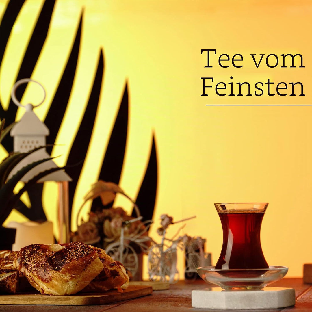 GOSOYO Türkische Teegläser und Untertassen Set (12 Stück), Arabische Persische Teetassen (4oz/120ml)