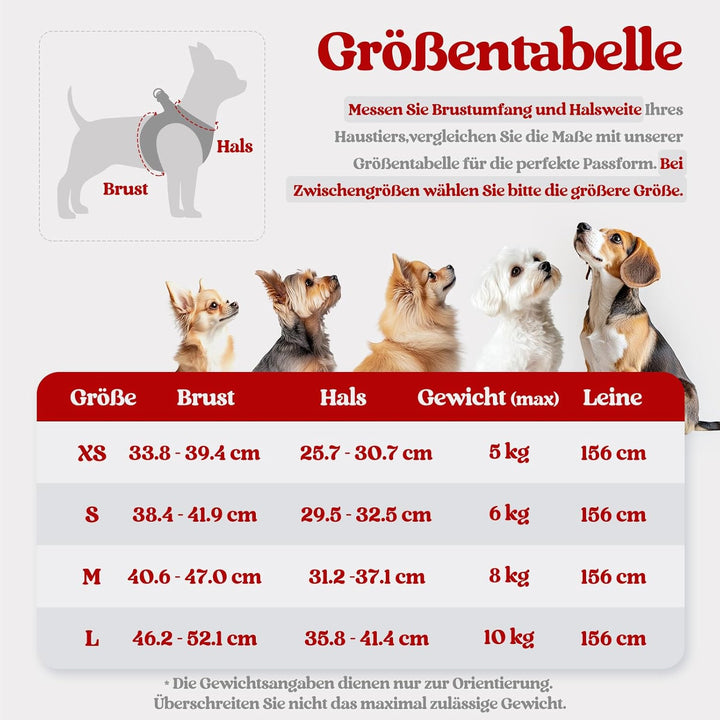 rabbitgoo Hundegeschirr Kleine Hunde mit Leine, Step-in Welpengeschirr Weich Mesh für Spaziergänge,