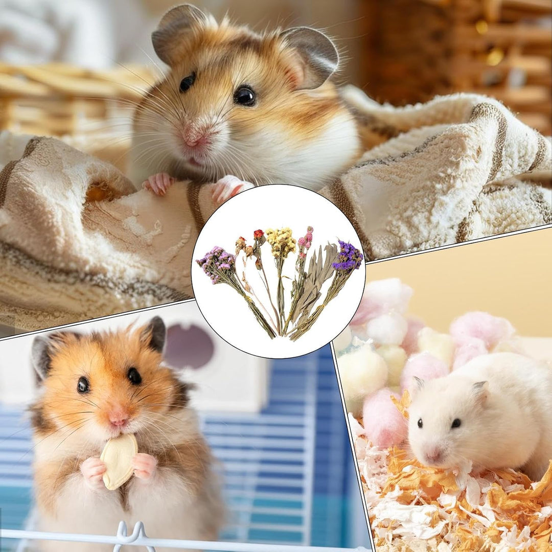 Generisch Hamster Einstreu, 25 cm Natürlich Getrocknete, Trockenblumen Für Hamster, Hamsters Einstre