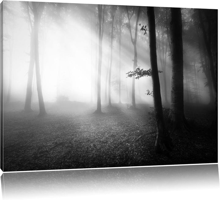 Pixxprint Düsterer Wald im Nebel Schwarz/Weiss, Format: 100x70 auf Leinwand, 100x70