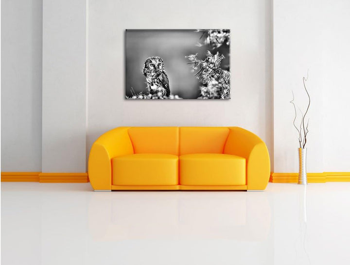 Pixxprint Kauz bestaunt Blatt / 100x70cm Leinwandbild bespannt auf Holzrahmen/Wandbild Kunstdruck De