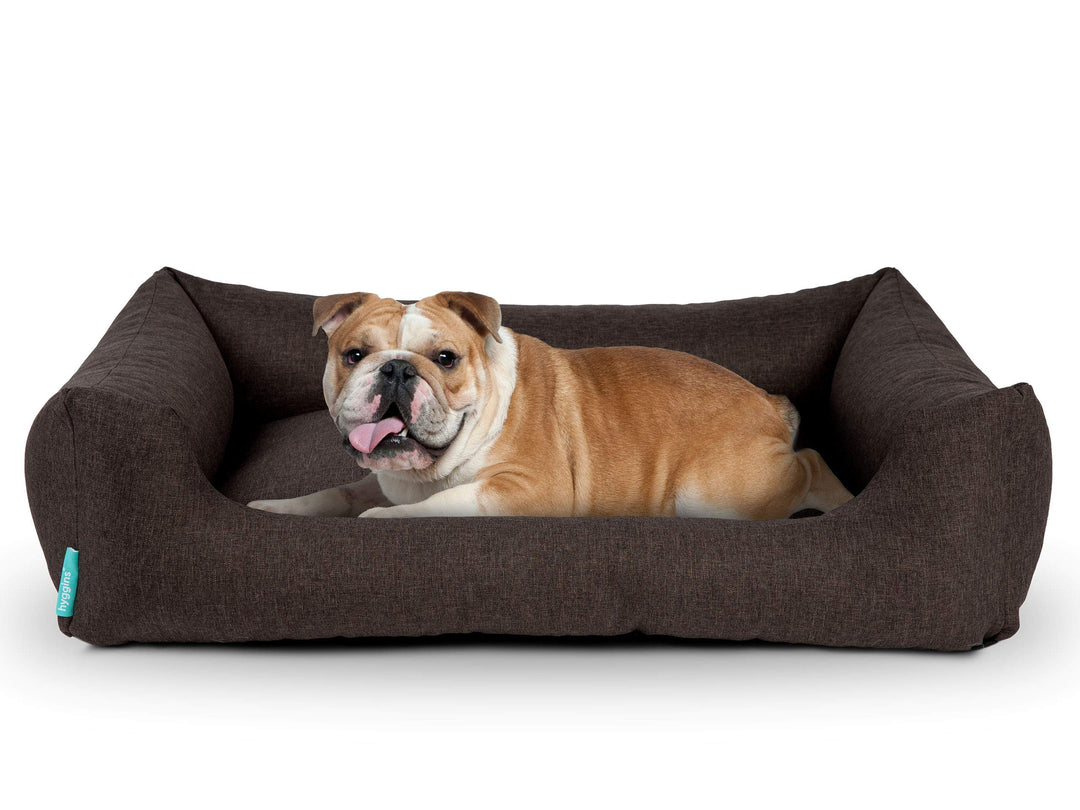 Hyggins Dreamer Pure Hundebett | Bezug abnehmbar und waschbar | Robust und pflegeleicht (S 60 x 44cm