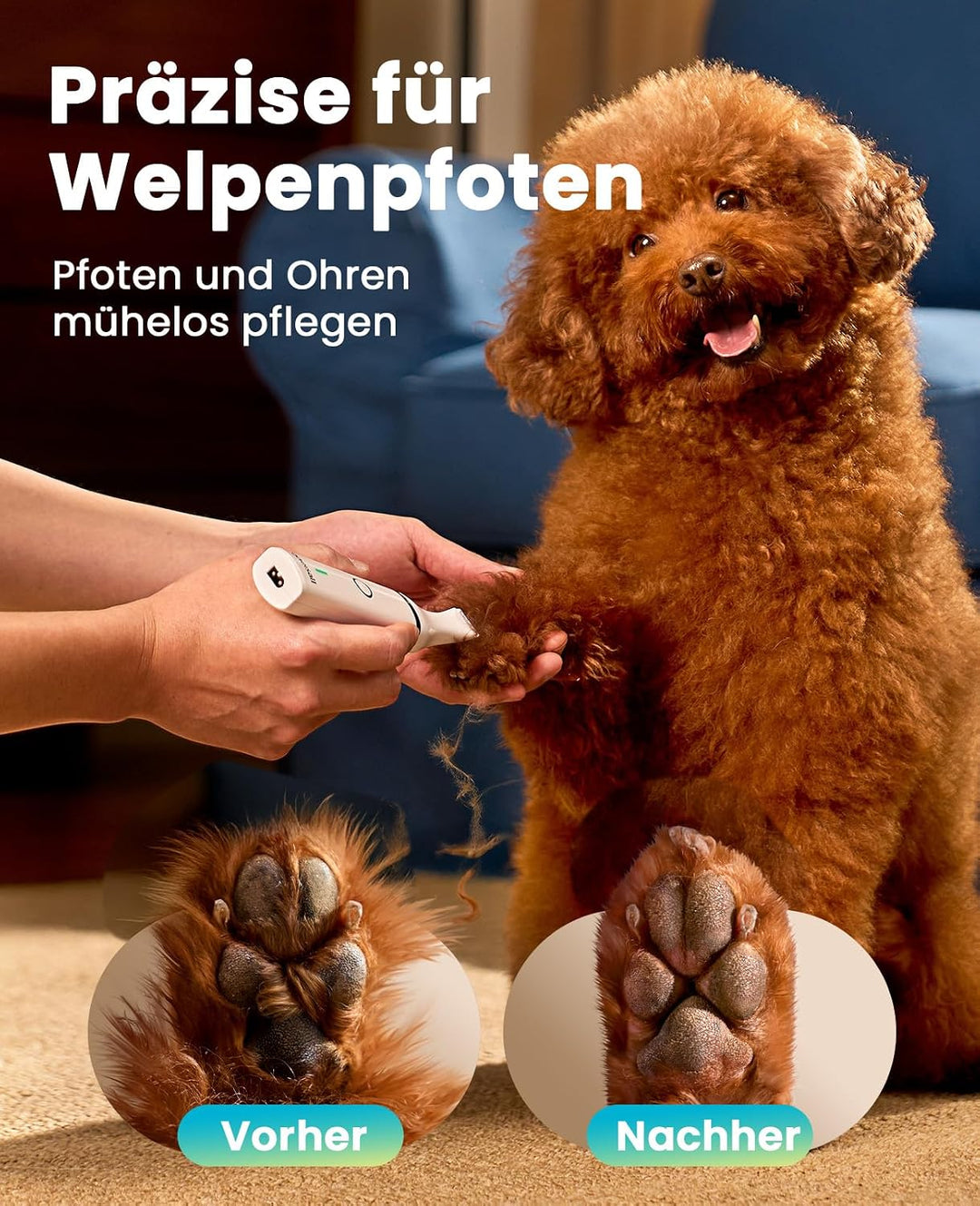 oneisall Bundle: Doppelklingen-Pfotentrimmer (2-Gang) + 3-in-1 Schermaschine für Katzen &amp; Hunde – Le