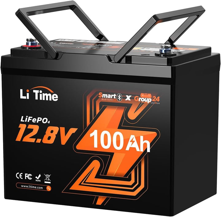 Litime 12V 100Ah LiFePO4 Batterie, Bluetooth Lithium Batterie BCI Group 24, Upgraded 100A BMS, 10-Ja