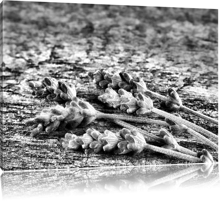 Pixxprint Monocrome, Liegender frischer Lavendel, Format: 100x70 auf Leinwand, 100x70