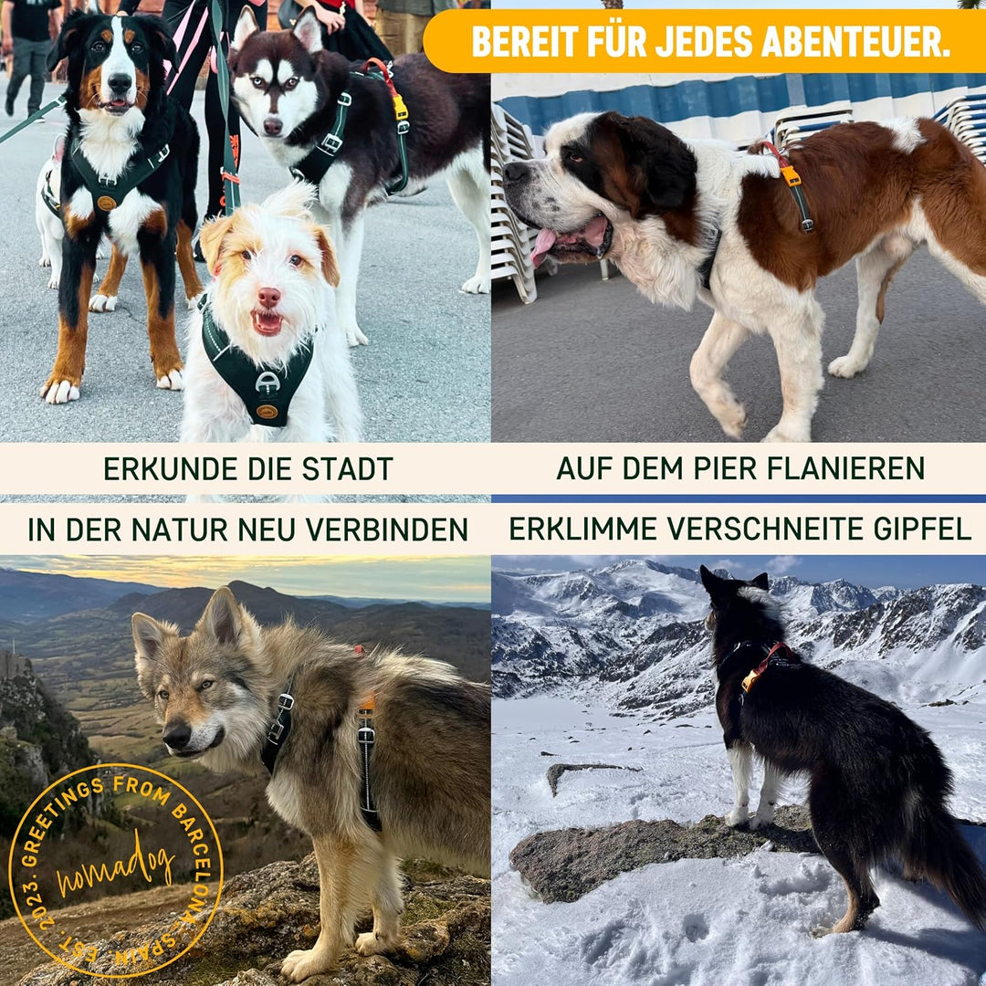 Nomadog Trailblazer Anti Zug Hundegeschirr Mittelgrosse Hunde mit Griff - Gepolstert, Verstellbar fü