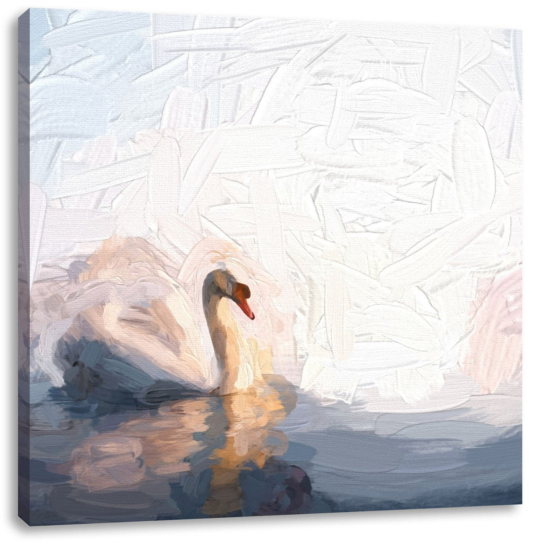 einsamer Schwan auf See, Format: 70x70 auf Leinwand, XXL riesige Bilder fertig gerahmt mit Keilrahme