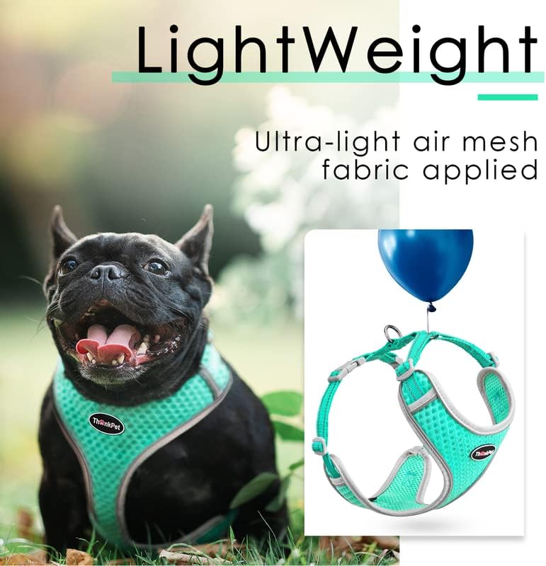ThinkPet No-Pull Hundegeschirr Leine Set, Atmungsaktiv Brustgeschirr für Kleine Mittlere Grosse Hund
