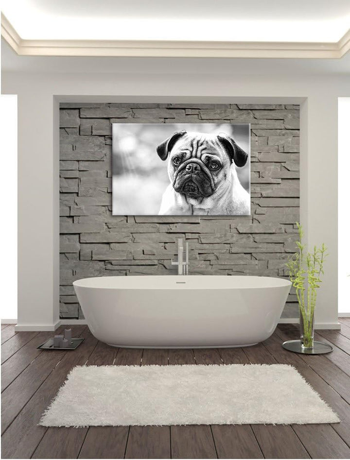 Mopsporträt Kunst B&W, Format: 100x70 auf Leinwand, XXL riesige Bilder fertig gerahmt mit Keilrahmen