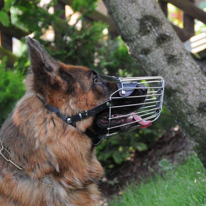 Dingo Mettal Maulkorb mit Kunststoffgitter Nr.6 Drahtmaulkorb für Hundetraining Handarbeit leicht Ko